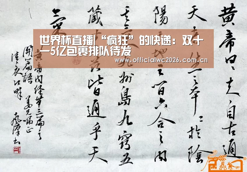 世界杯直播|“疯狂”的快递:双十一5亿包裹排队待发(图1) 赛事数据