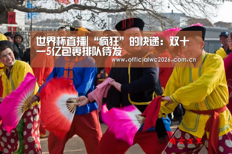 世界杯直播|“疯狂”的快递:双十一5亿包裹排队待发(图2) FIFA 2026
