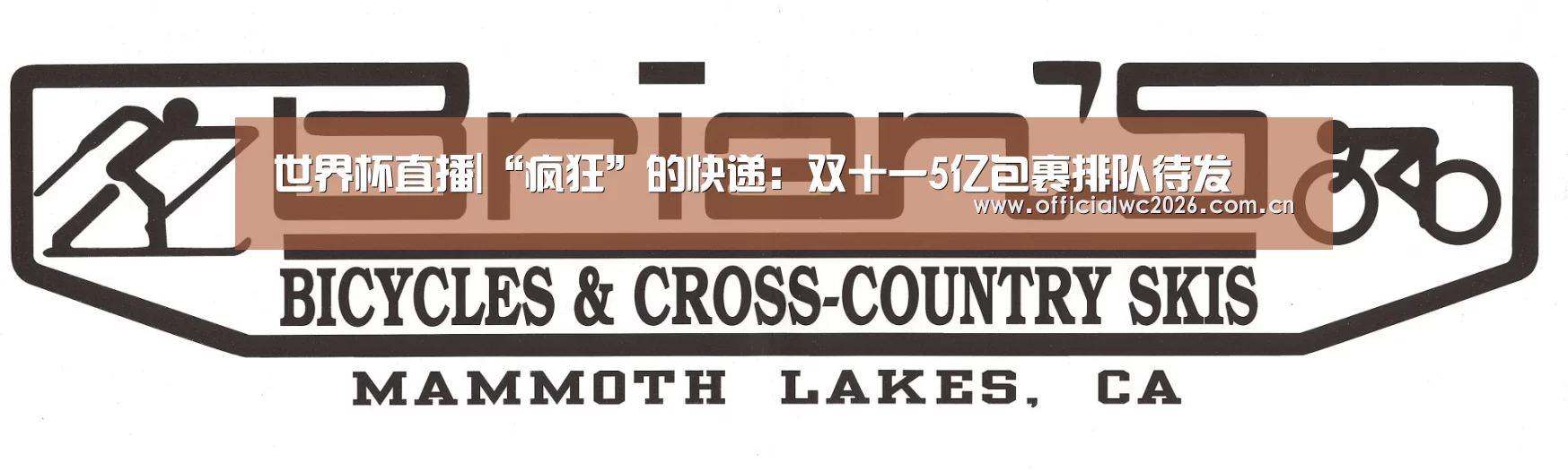 世界杯直播|“疯狂”的快递:双十一5亿包裹排队待发(图3) 比分更新
