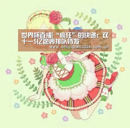 世界杯直播|“疯狂”的快递:双十一5亿包裹排队待发(图4) 世界杯直播