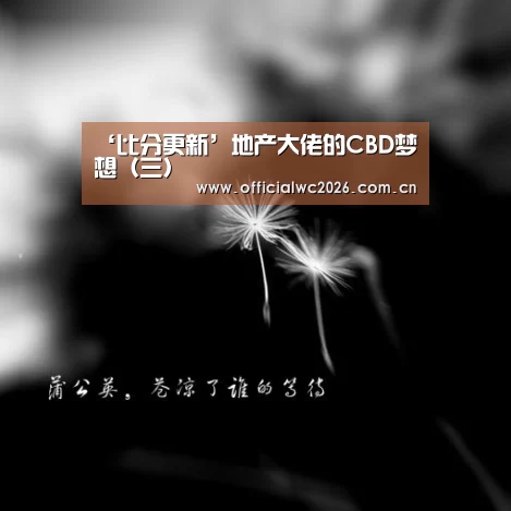 ‘比分更新’地产大佬的CBD梦想(三)(图1) FIFA 2026