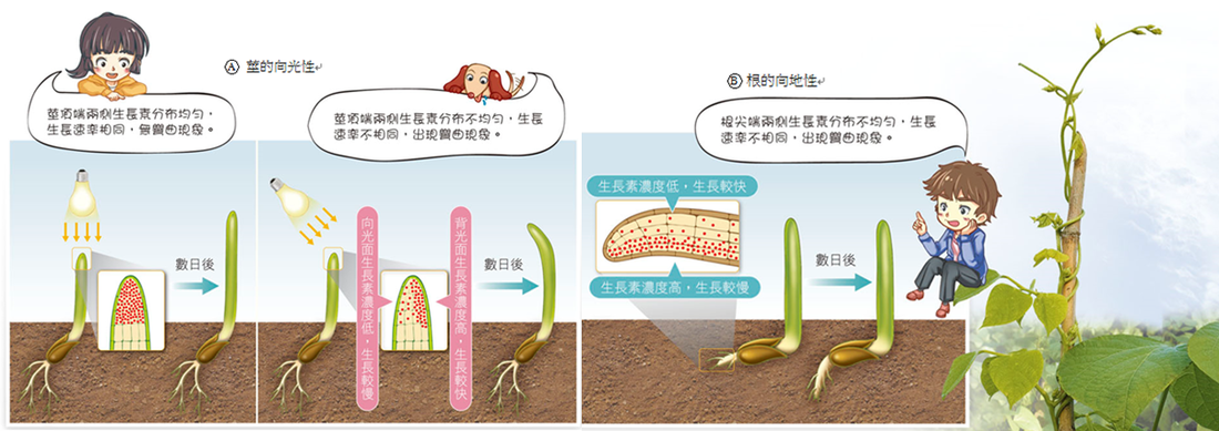 新城发展控股再斥资1503.8万港元回购300万股-世界杯直播(图3) 赛事数据