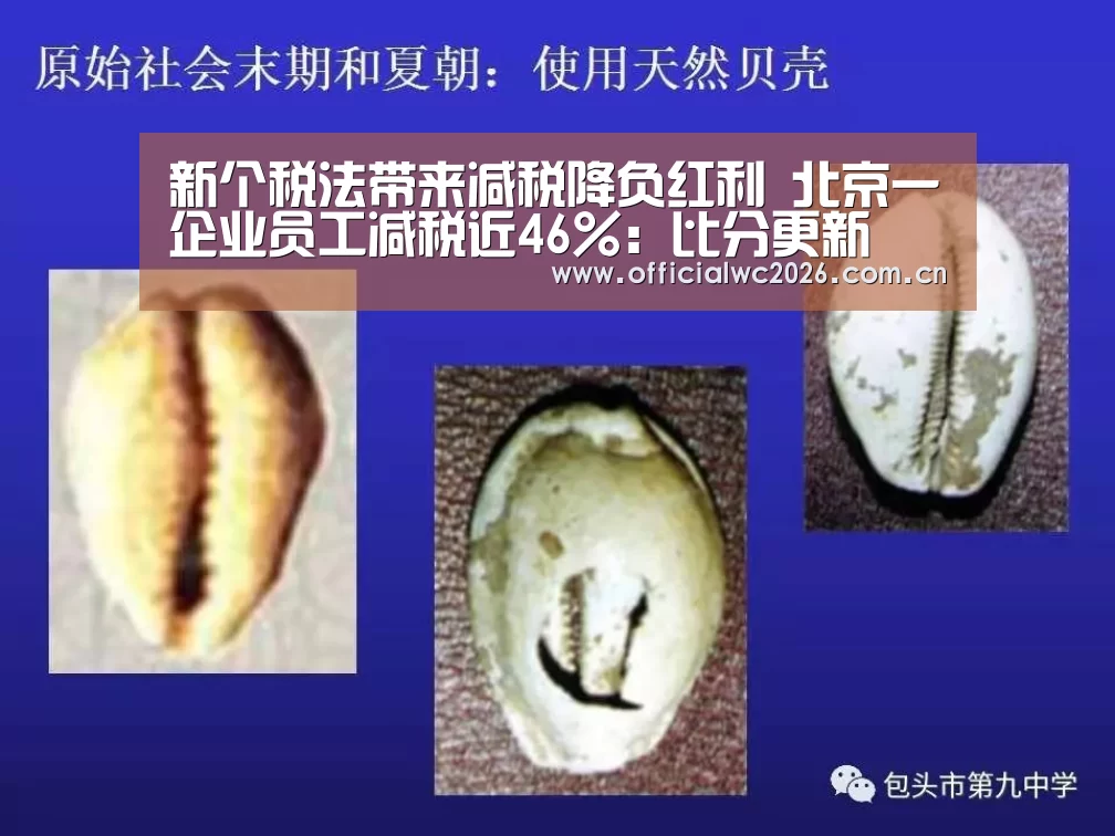 新个税法带来减税降负红利 北京一企业员工减税近46%:比分更新(图3) 比分更新