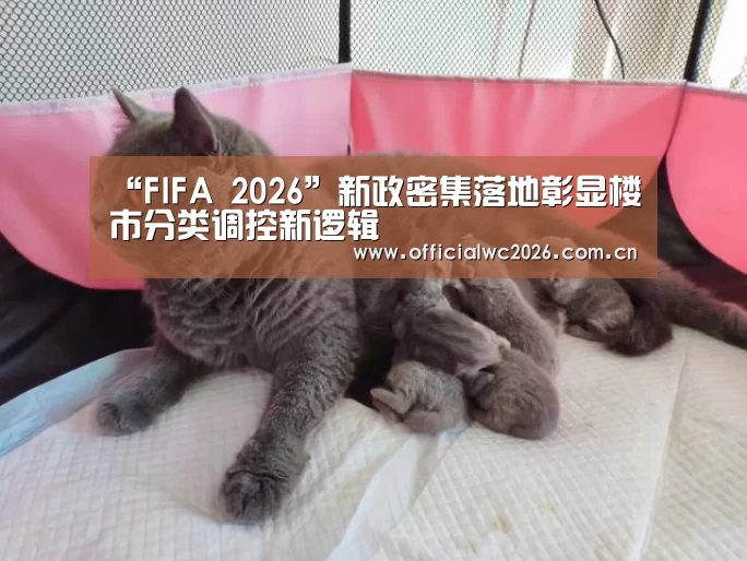 “FIFA 2026”新政密集落地彰显楼市分类调控新逻辑(图1) 世界杯直播
