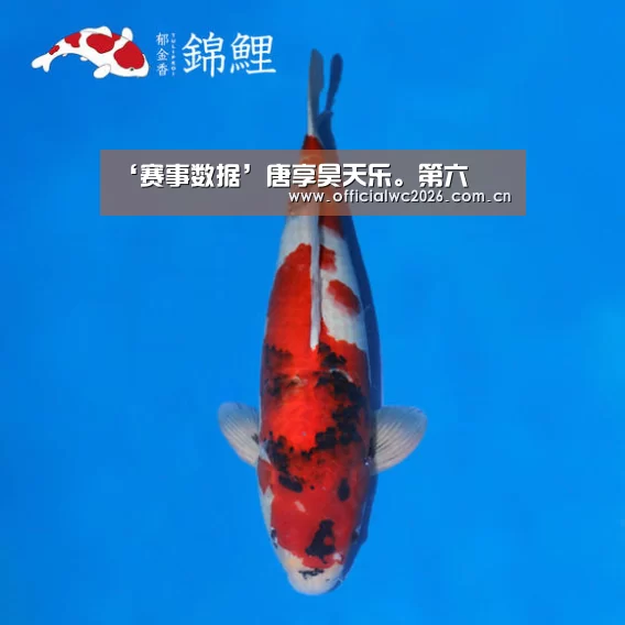 ‘赛事数据’唐享昊天乐。第六(图1) 赛事数据