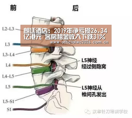 朗廷酒店:2019年净亏损26.34亿港元 客房租金收入下跌31%【世界杯直播】(图4) 赛事数据