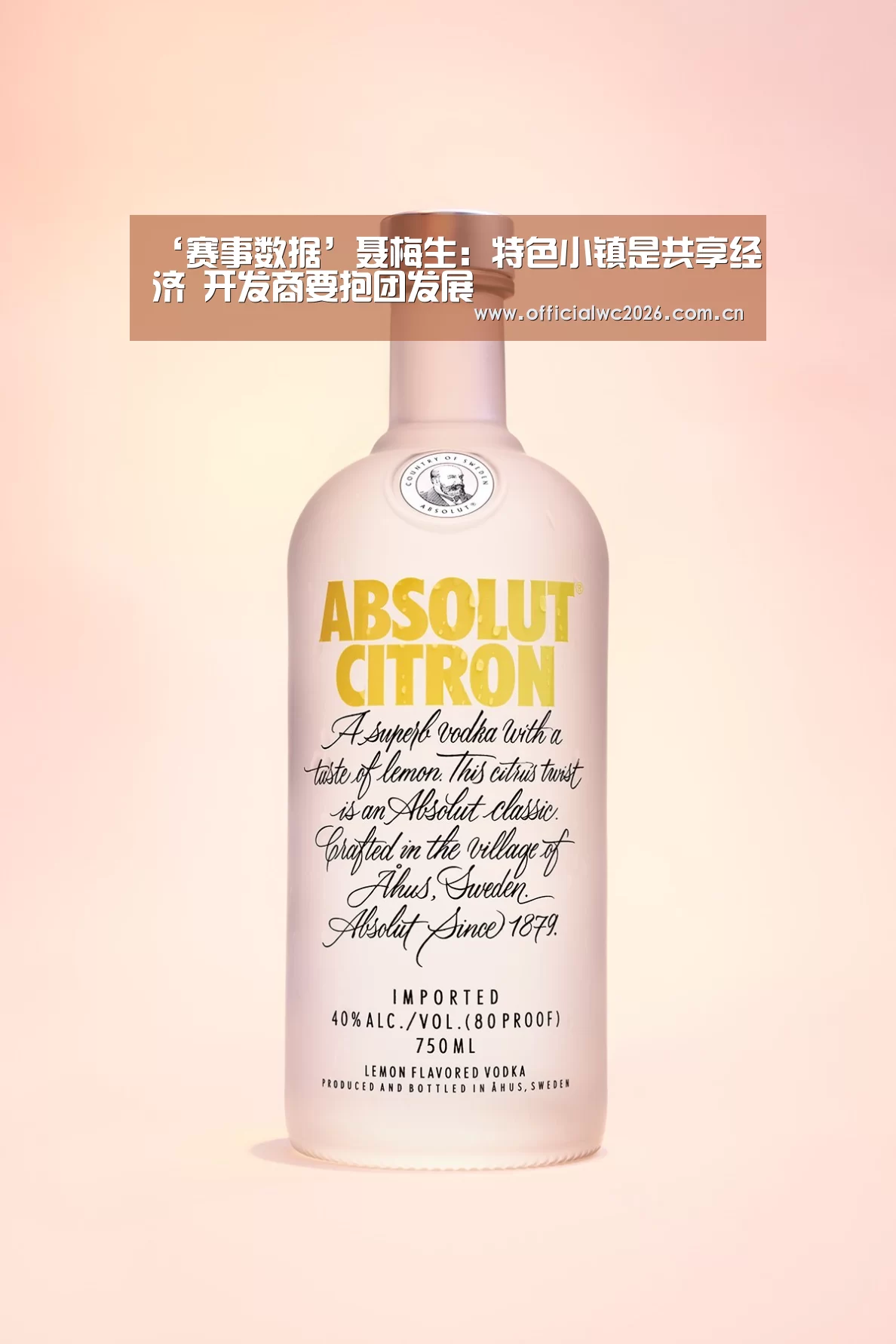 ‘赛事数据’聂梅生:特色小镇是共享经济 开发商要抱团发展(图4) 比分更新
