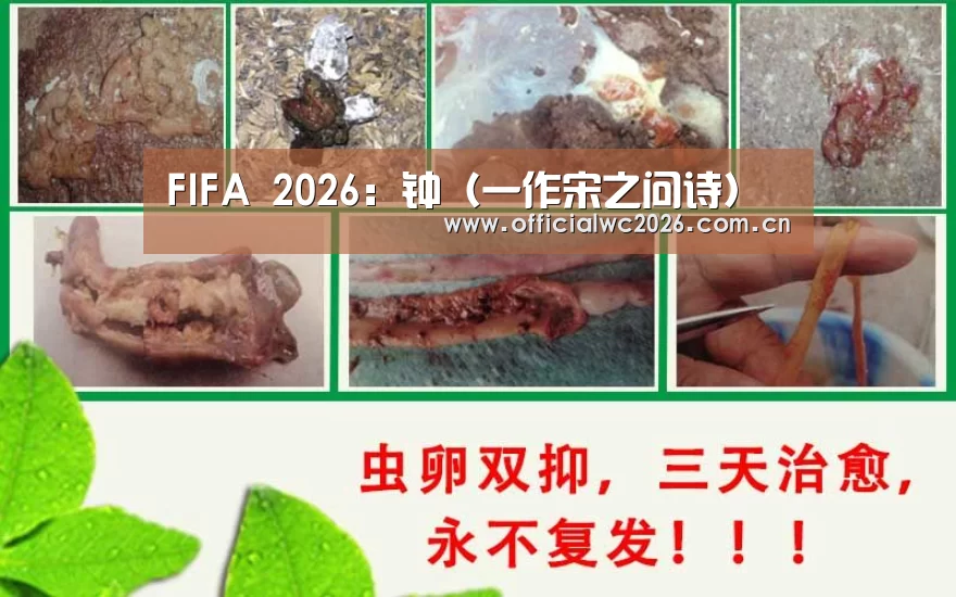 FIFA 2026:钟(一作宋之问诗)(图4) 世界杯直播